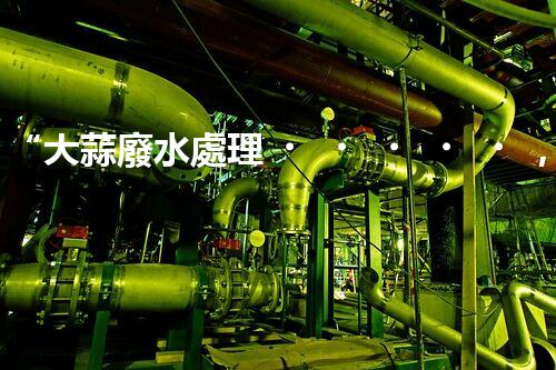 “大蒜廢水處理，綠色環(huán)保新篇章”